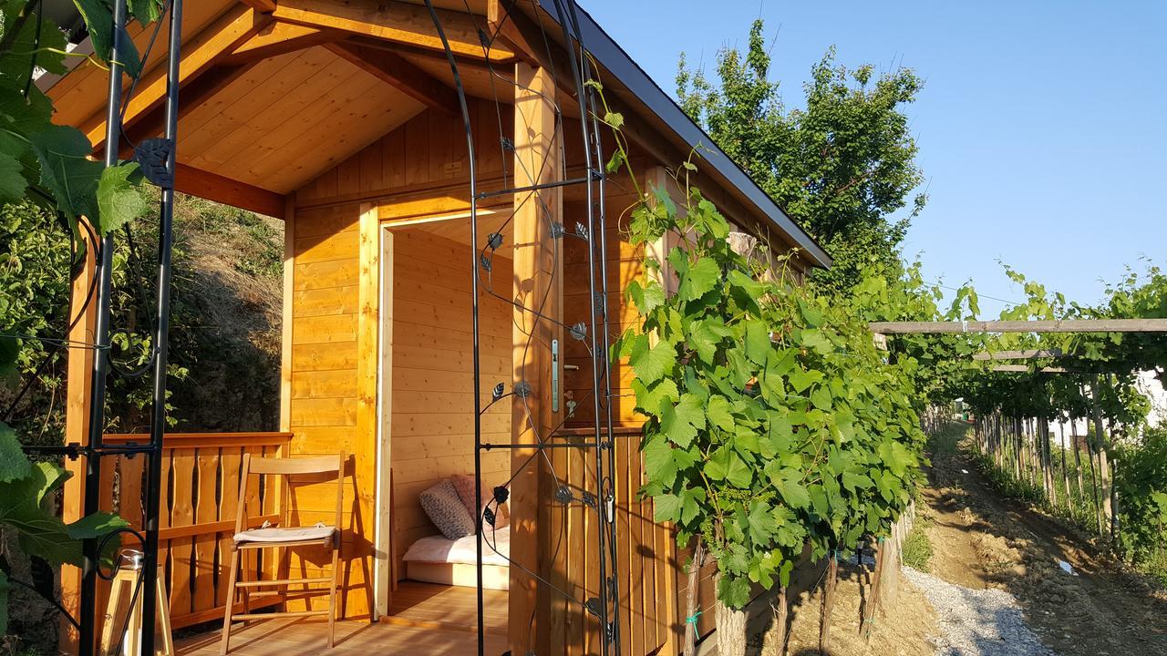 Valentina Guest House At Pintar Wine Estate Kojsko 外观 照片